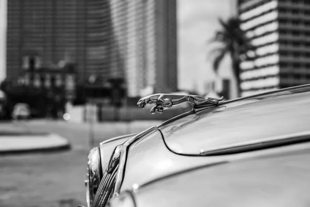 Betobet Cazino Cazinou Aplicație Android/iOS